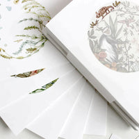 Open greeting card featuring watercolor botanical illustrations of grasses, seeds, and a chameleon. Illustrated by Lisel Ashlock.