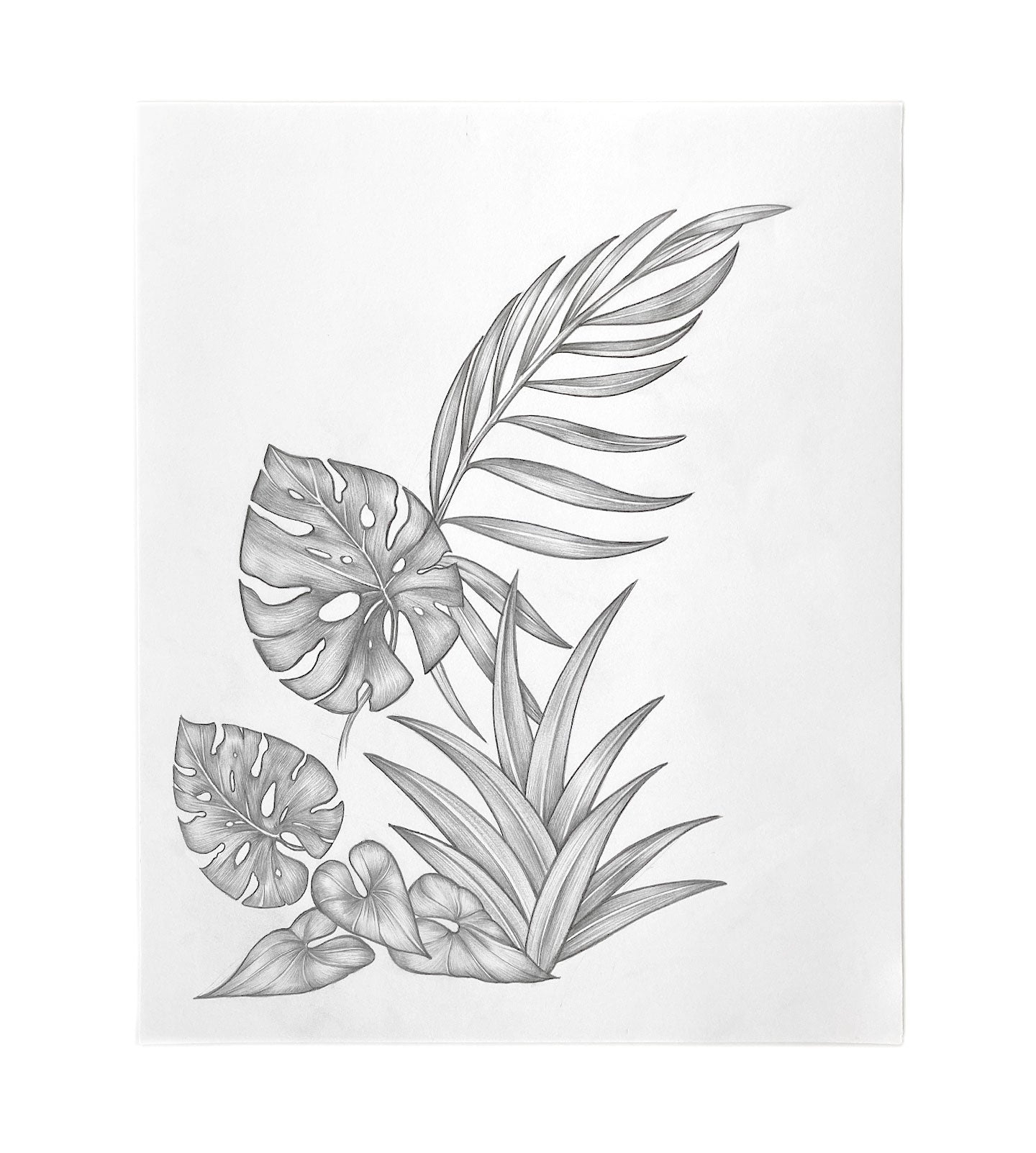 Original Studio Drawing : Tropical Botanical (medium)